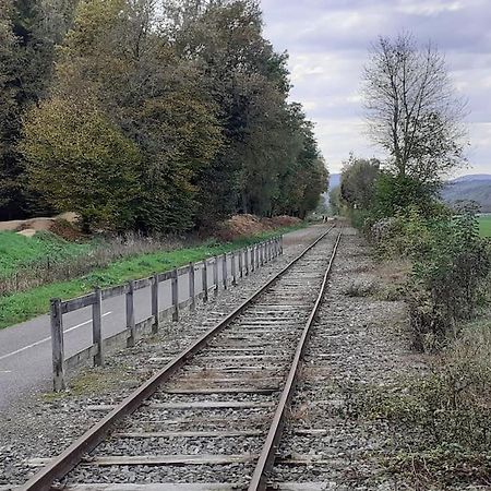 A L'Oree Du Bois "Les Hetres" Guewenheim Luaran gambar